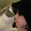 QQ_989