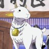 白日梦Y。