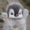 曾经的岁月