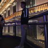 撒欢º的头像-iPA资源站