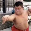 请过招（花帝）的头像-紫洋·game·社区