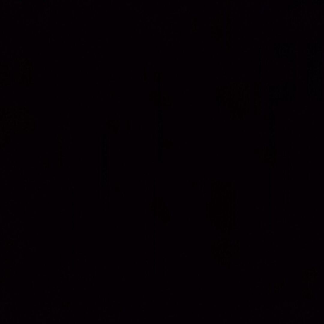 点的Li