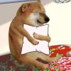 花下眠