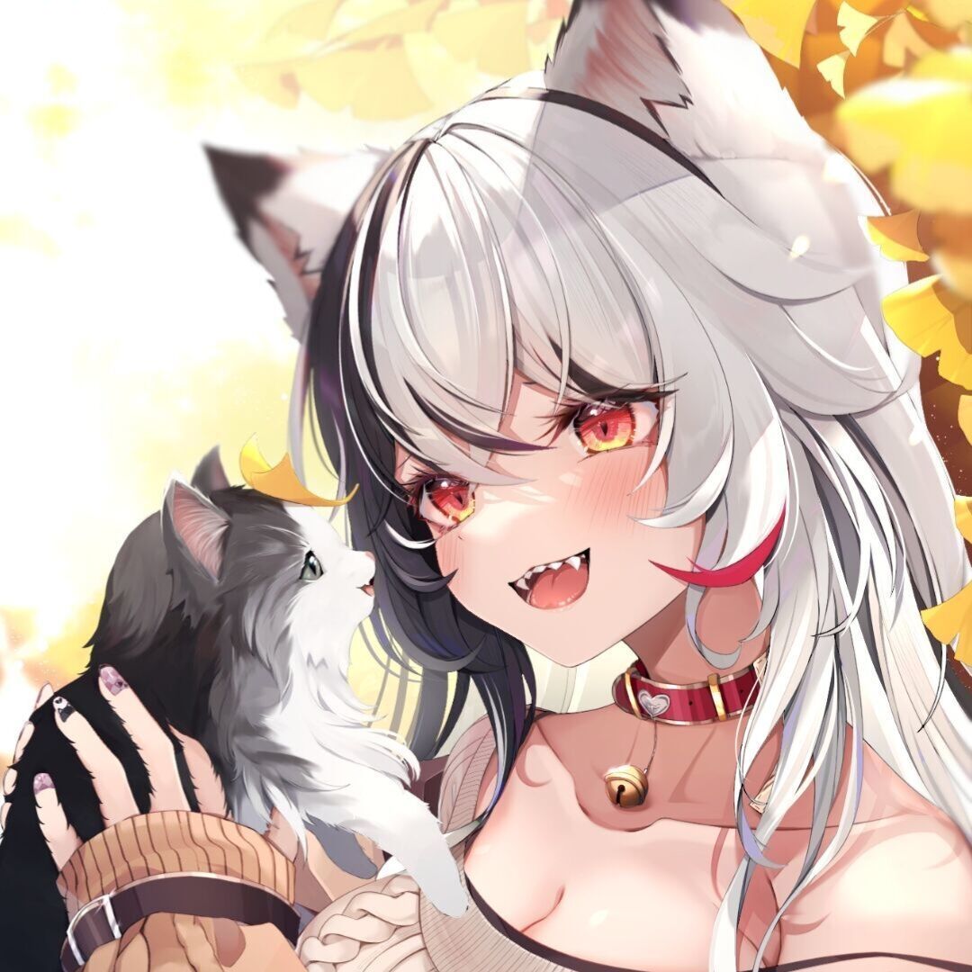 会吃猫的渔.