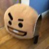 呈庚