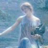 画归途被同担狂追88条街的头像