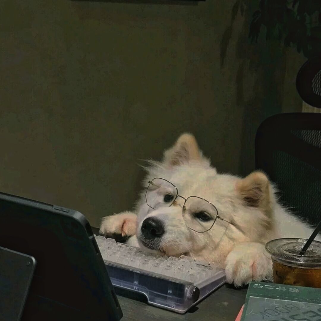 认啥