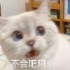 整天沉迷叽萝