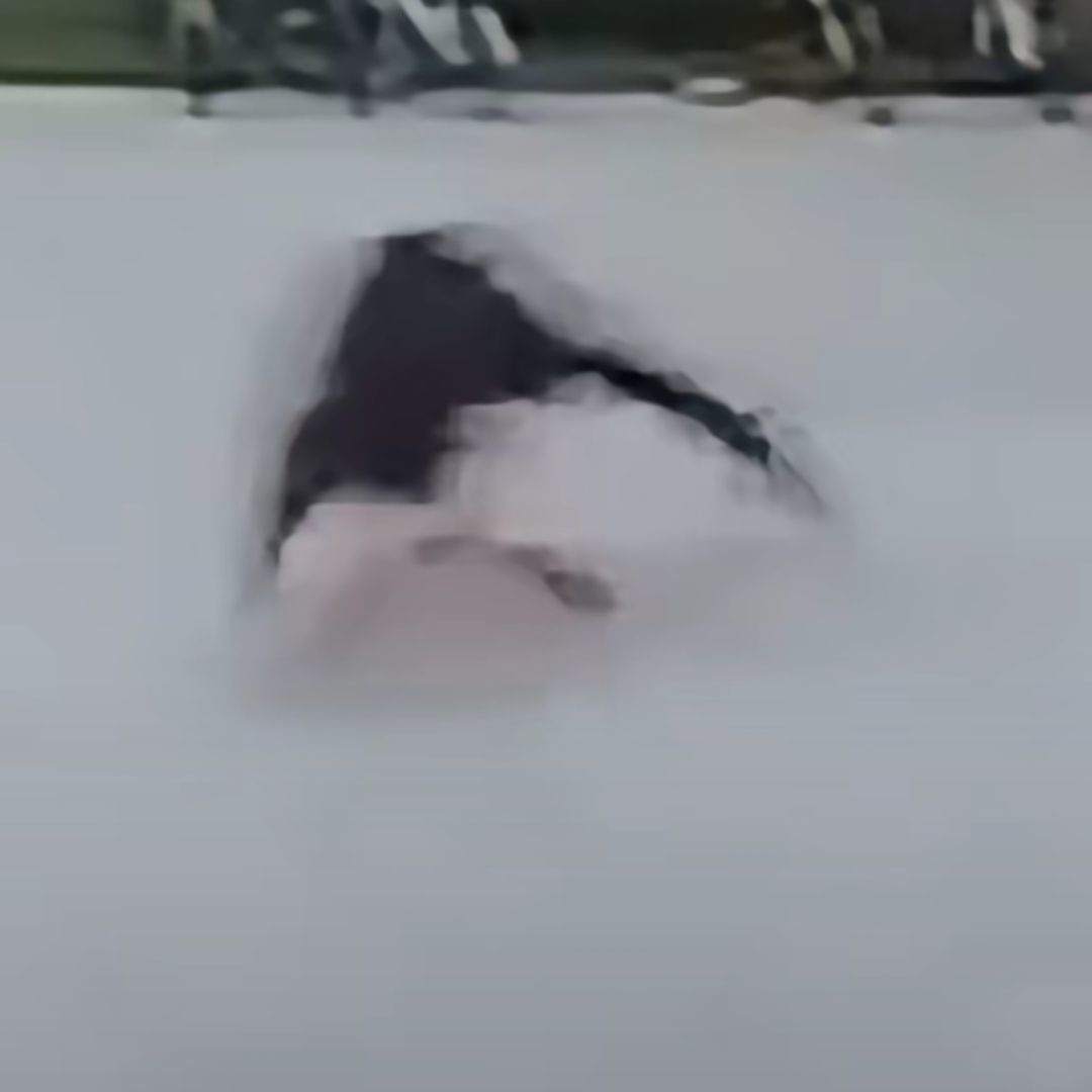 阴暗爬行