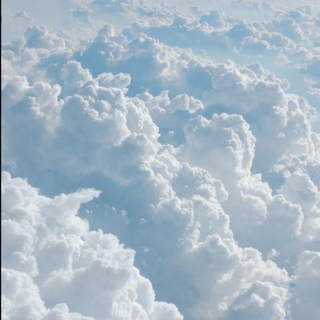 343633