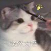 鷥綪