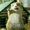 ︿曦末离ゞ的头像-七日杀中文站