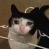 「o( =·ω·= )m 」 的头像