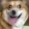 狗子