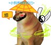 BladeXv的头像-【TITAIKE】T太科网