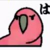 啊哦啊哦