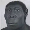 Fywoo