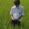 一一_308
