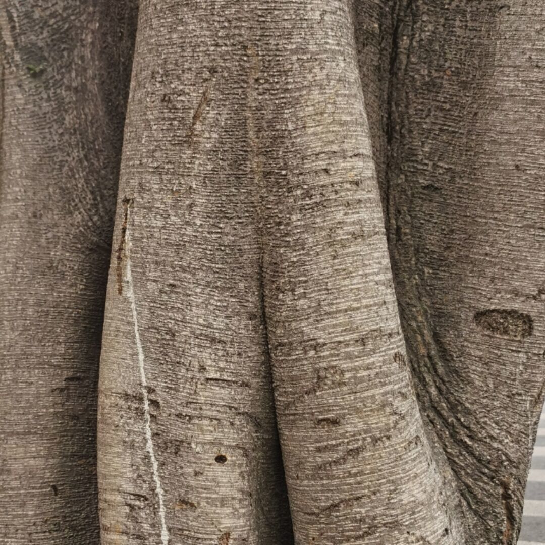 _427