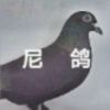 324095
