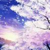 浅夏樱飞的头像-【TITAIKE】T太科网