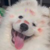 孙君的头像-魔酷网