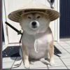 东方、幻響