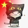 满天星可以吗