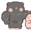 KMY_608