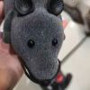 ooooo-逸云源码网
