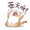 niko8689的头像-魔酷网