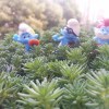 itnetcn的头像-zibll子比社区
