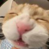 user58536296的头像-iPA资源站