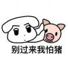 白咲