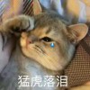 广场遛弯高手