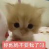 注意坤！！
