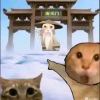 hongxia的头像-【TITAIKE】T太科网