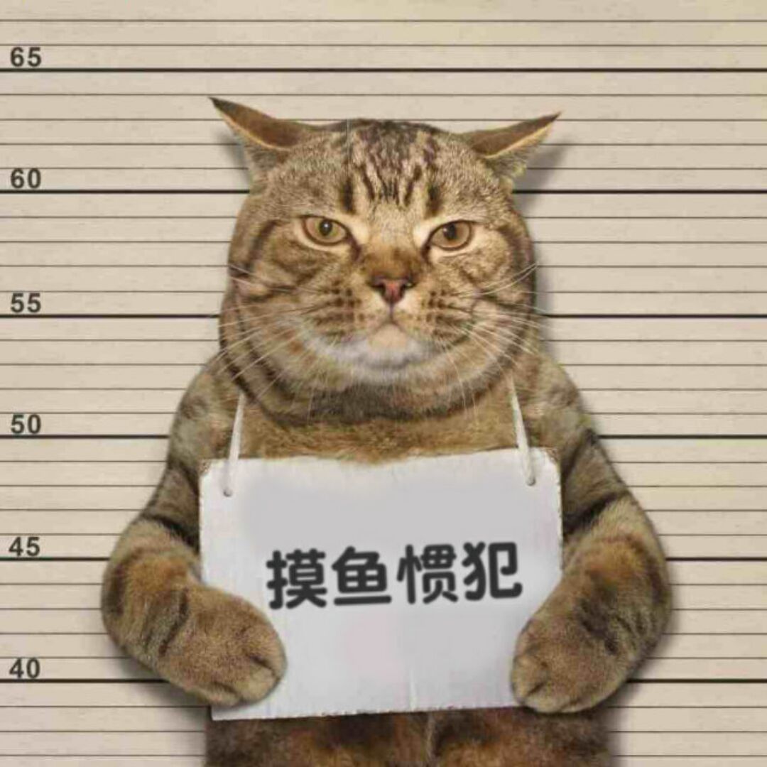 摸鱼佬