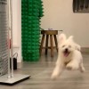 用户12277688的头像-iPA资源站