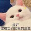 可爱的头像-七玩网