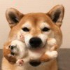 　1308