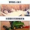 再来一局