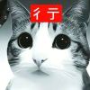 tzj31388的头像-哈基米社区