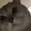 i_169