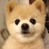 平静的人生