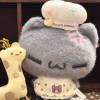 用户55219008的头像-iPA资源站
