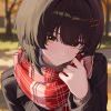 安澜君