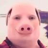 user94093029的头像-iPA资源站