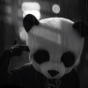 asa3177528的头像-FiveM插件网