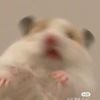 木子然然……